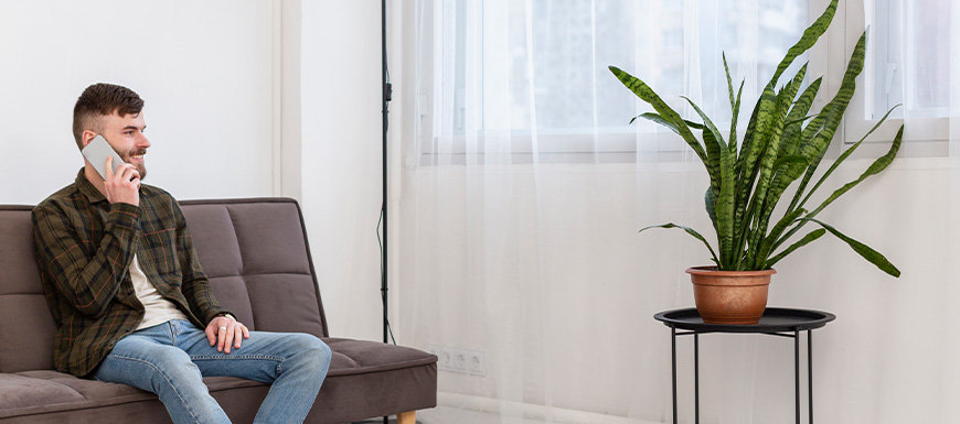 Man sitting looking at snake plant